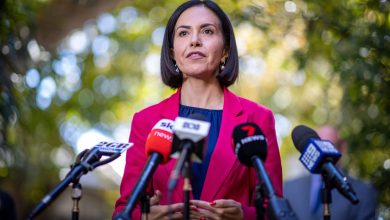 NSW Education Minister Prue Car wants teachers focused on educating in the classroom, not on dealing with parents. Picture: Newswire.