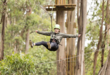 A ropes course at Live Wire Park. Picture: Supplied