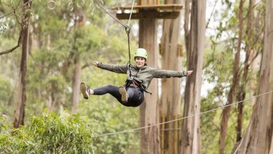 A ropes course at Live Wire Park. Picture: Supplied