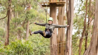 A ropes course at Live Wire Park. Picture: Supplied