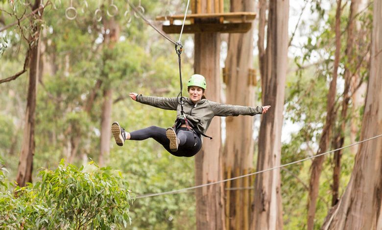 A ropes course at Live Wire Park. Picture: Supplied
