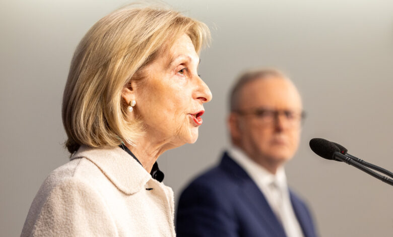 Jillian Segal talks at a press conference in Sydney to discuss plans to combat antisemitism. Picture: Thomas Lisson