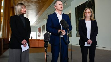Education Minister Jason Clare holds a press conference at Parliament House with the two bullying experts. Picture: Martin Ollman