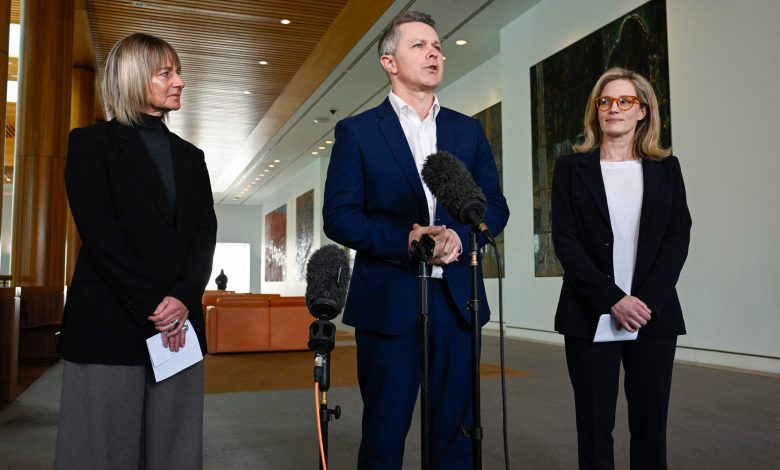 Education Minister Jason Clare holds a press conference at Parliament House with the two bullying experts. Picture: Martin Ollman
