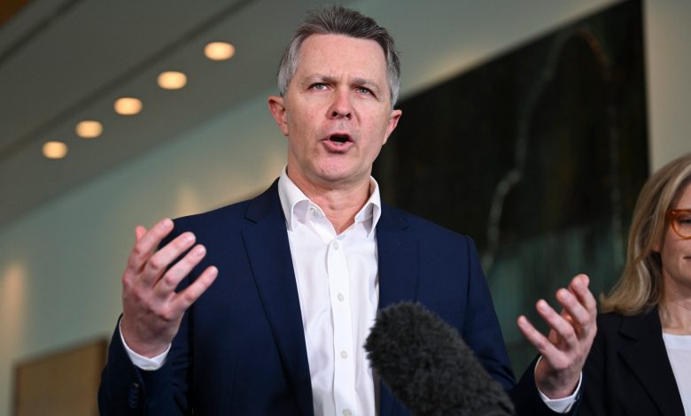 Jason Clare announced the idea during a speech on Tuesday. Picture: Martin Ollman