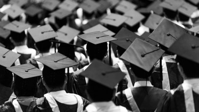 Large group of graduation caps during commencement
